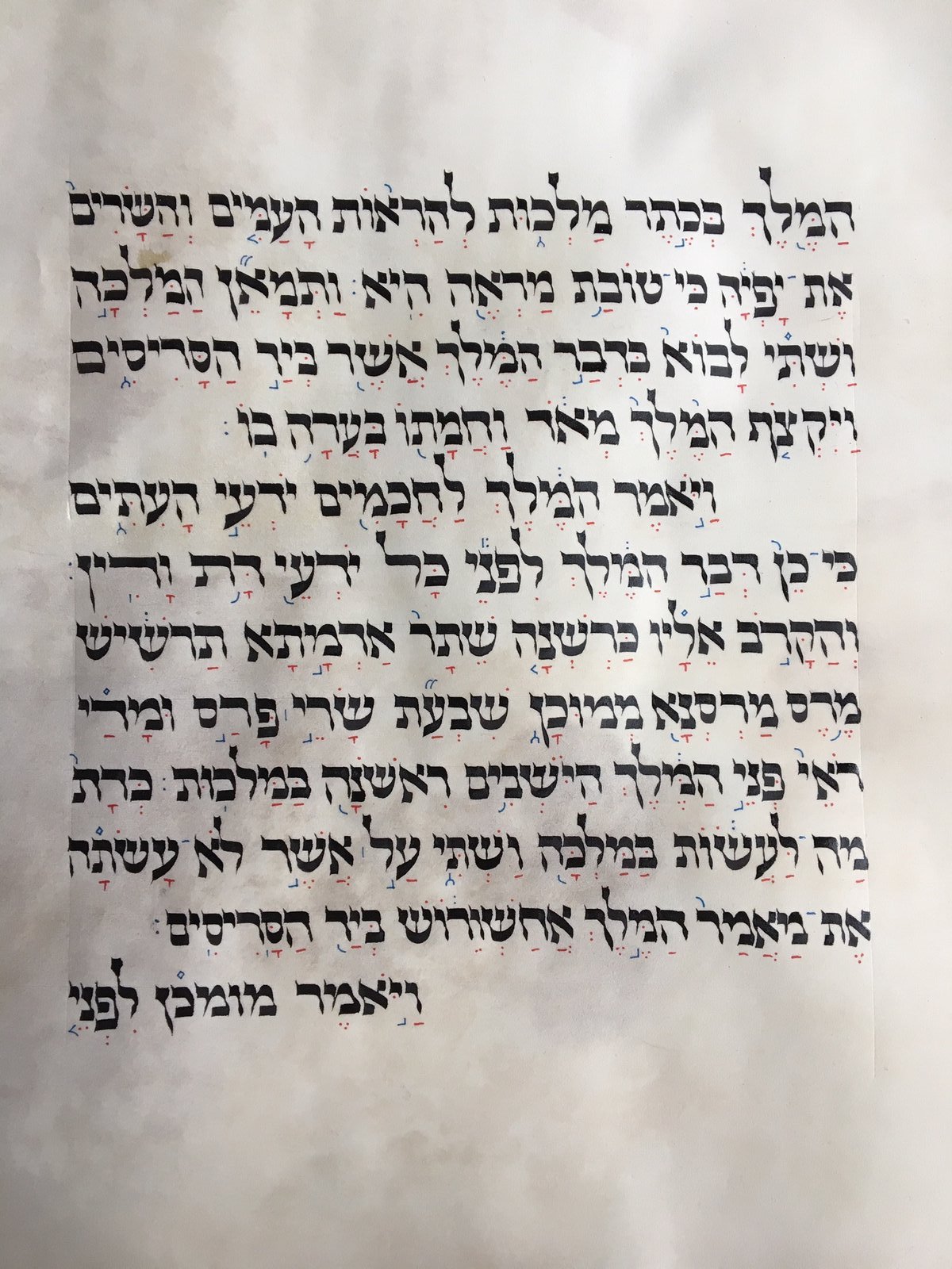A close-up of a single finished column from the Megillah.