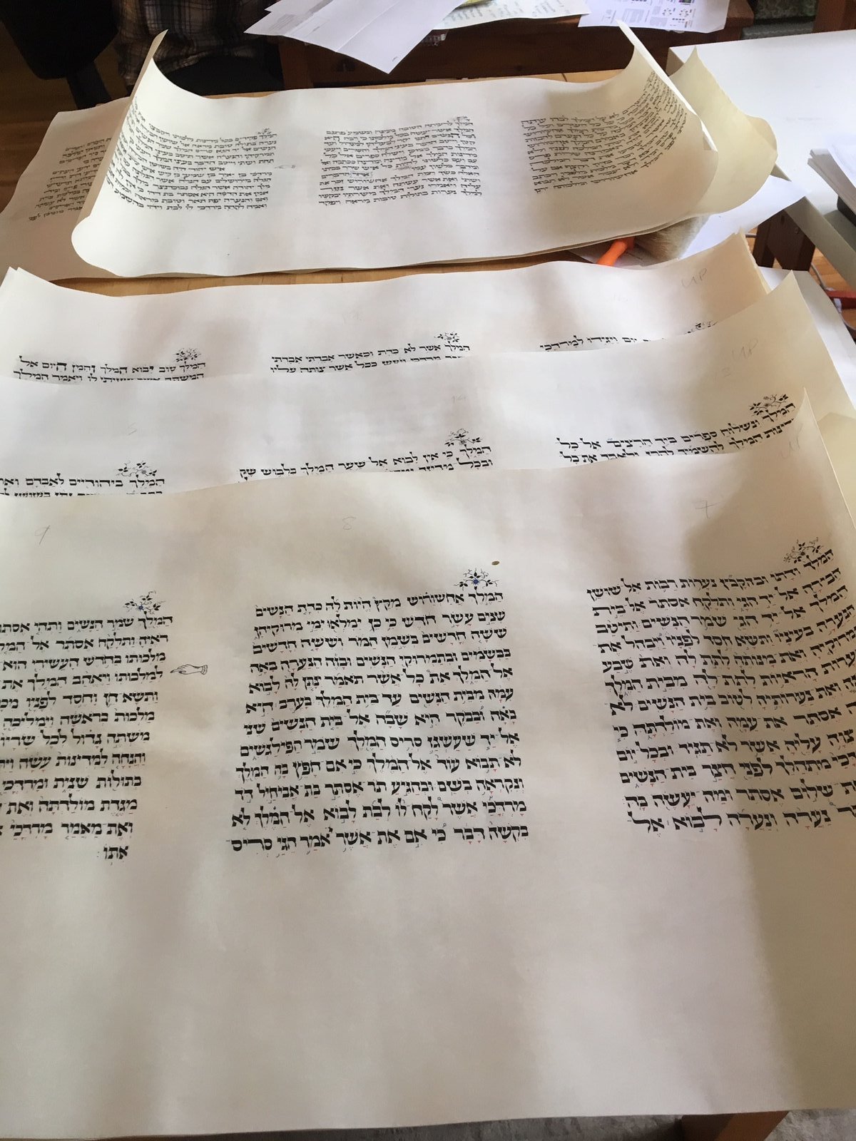 An open section of the Megillah, the text complete and ready for marginal illumination.